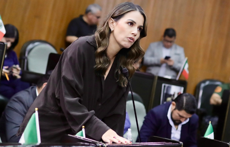 Lorena de la Garza llama a detener la persecución contra activistas o representantes de usuarios del transporte público