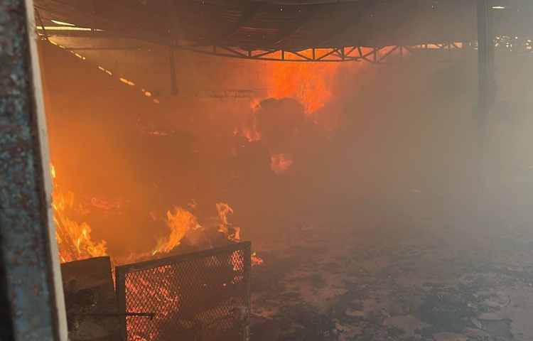 Registra Nuevo León 600 incendios tan solo en dos días
